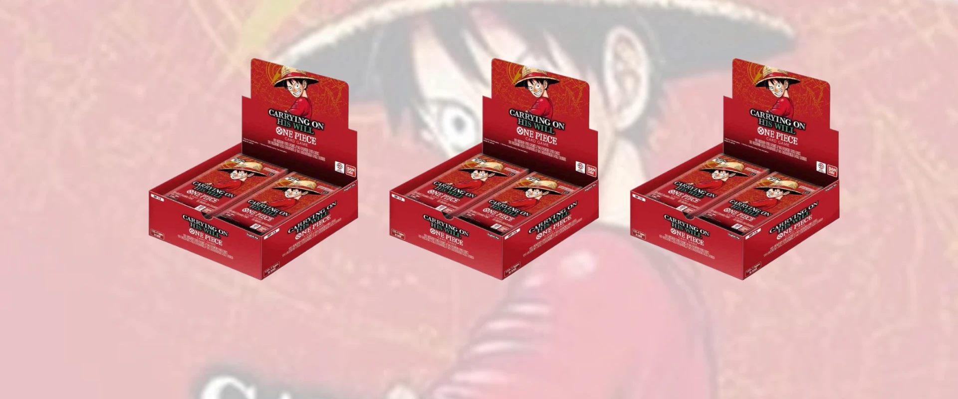 One Piece Carrying on his Will