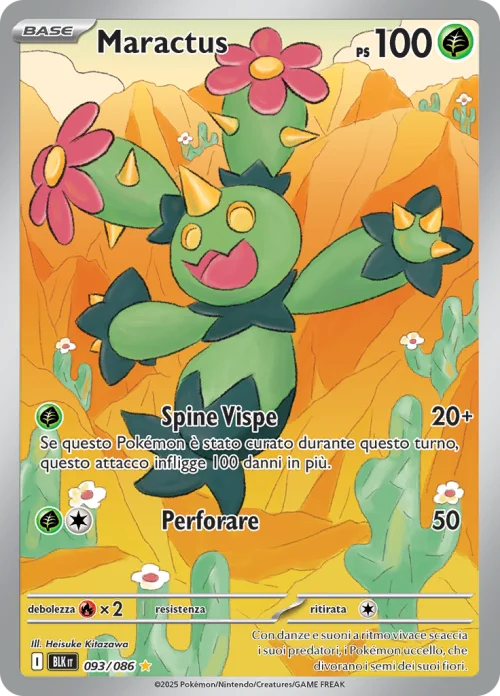 Maractus