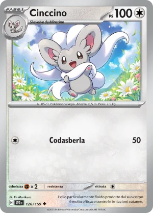 Cinccino