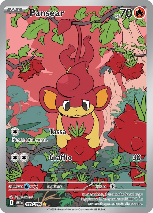 Pansear